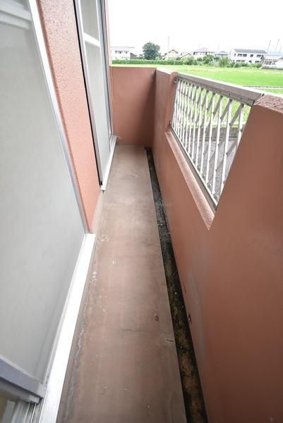 �y�o���R�j�[�z�@