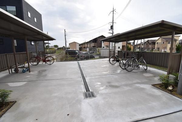 �y���̑����L�����z�@