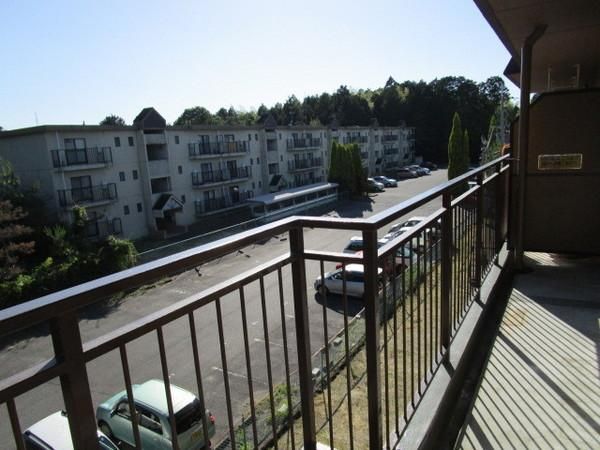 �y�o���R�j�[�z�@�������ʎ�