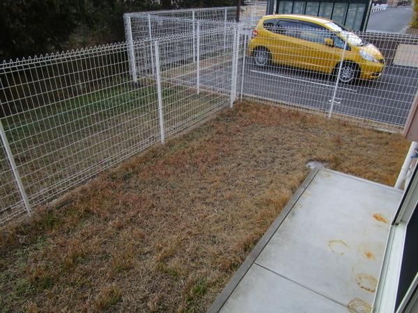 �y��z�@���d�l�ʐ^