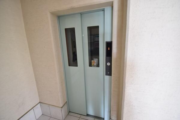 �y���̑����L�����z�@