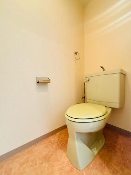 �y�g�C���z�@