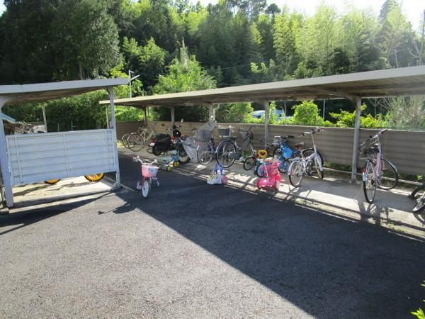 �y���̑����L�����z�@