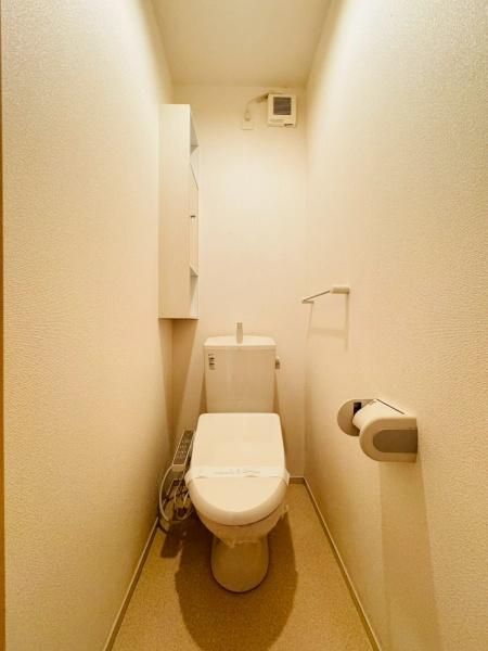 �y�g�C���z�@