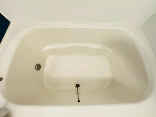 �y�o�X�z�@