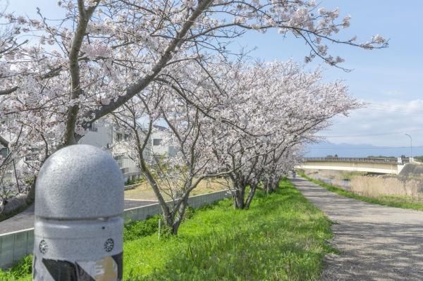 �y���]�z�@