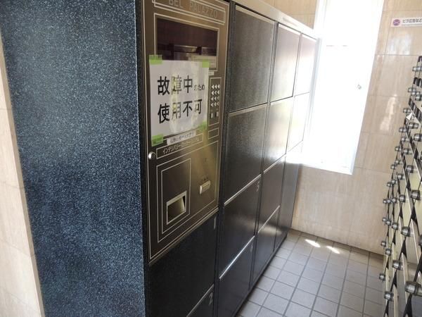 �y���̑����L�����z�@