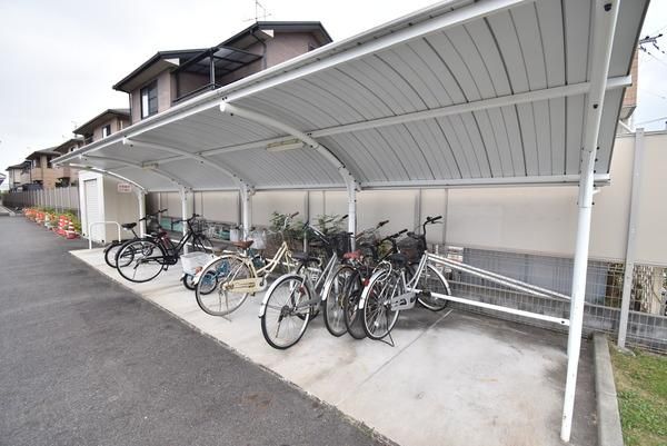 �y���̑����L�����z�@