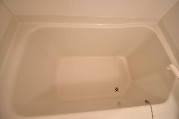 �y�o�X�z�@���d�l�ʐ^