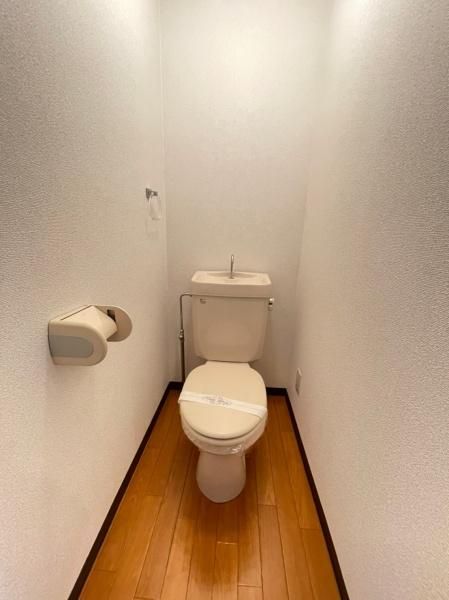 �y�g�C���z�@