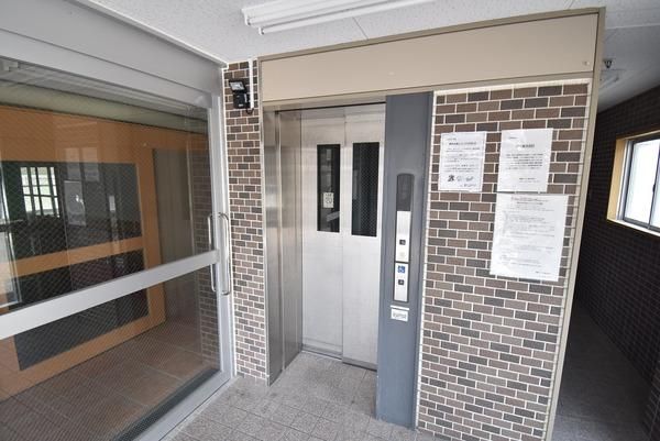 �y���̑����L�����z�@