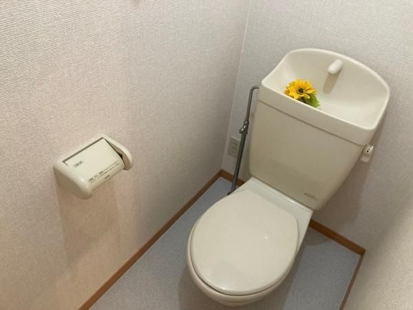 �y�g�C���z�@