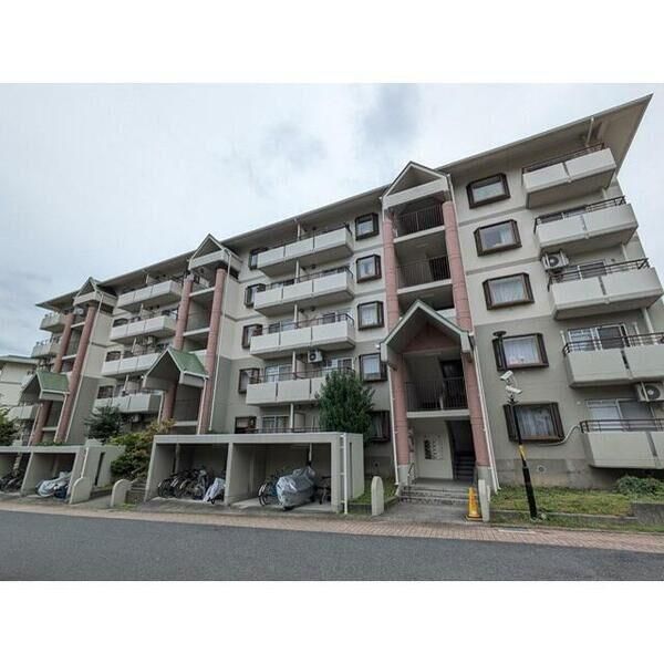 �y���̑����L�����z�@