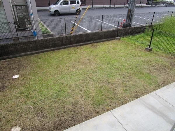 �y��z�@���������ʎ���