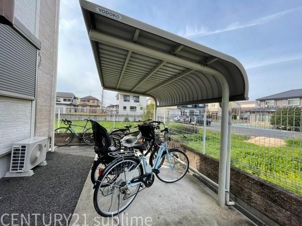 �y���̑����L�����z�@