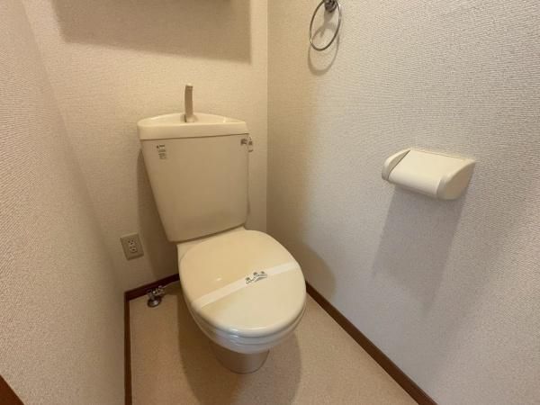 �y�g�C���z�@