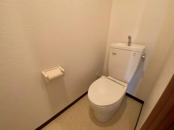 �y�g�C���z�@