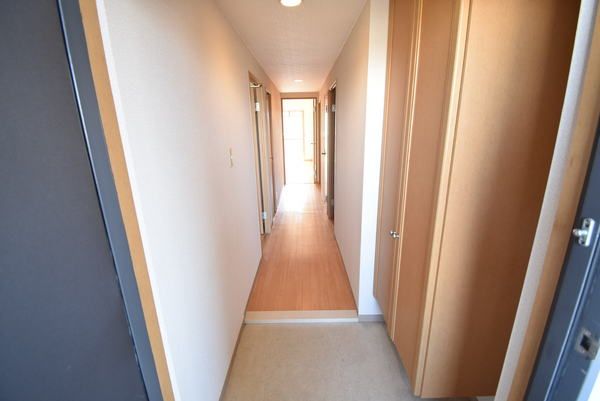 �y���ցz�@���������ʎ���