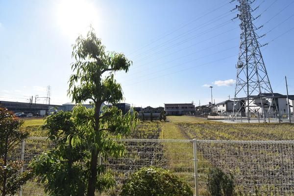 �y���]�z�@���������ʎ���