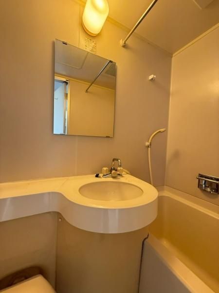 �y���ʏ��z�@���d�l�ʐ^