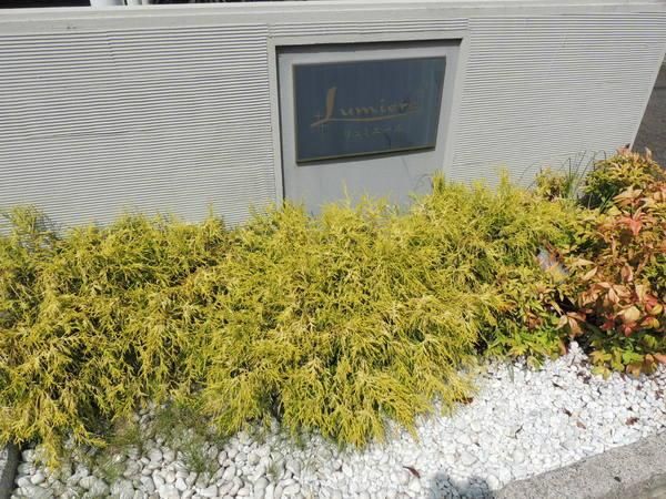 �y�G���g�����X�z�@