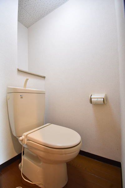 �y�g�C���z�@