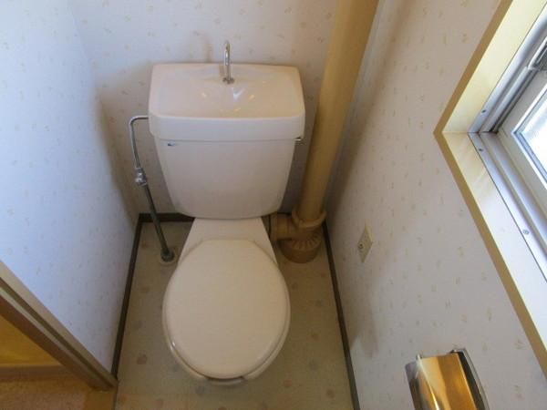 �y�g�C���z�@�������ʎ�