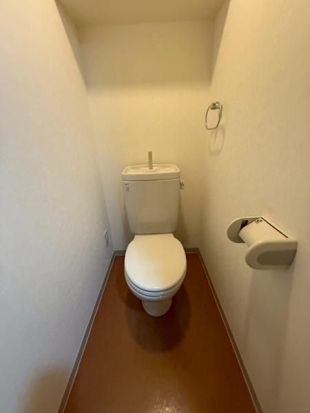 �y�g�C���z�@