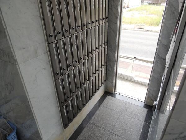 �y���̑����L�����z�@