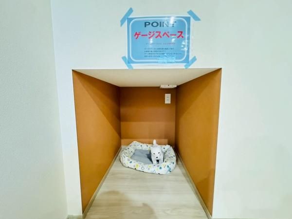 �y���̑��z�@