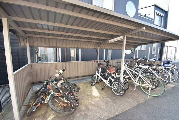 �y���̑����L�����z�@