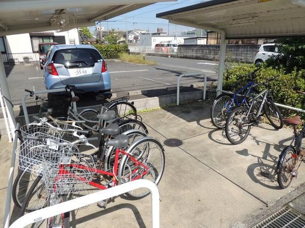 �y���̑����L�����z�@