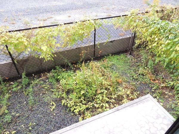 �y�o���R�j�[�z�@���d�l�ʐ^