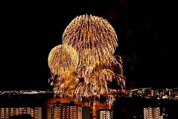 �y���]�z�@�W���W�����i�ΉԉΑ��̎ʐ^