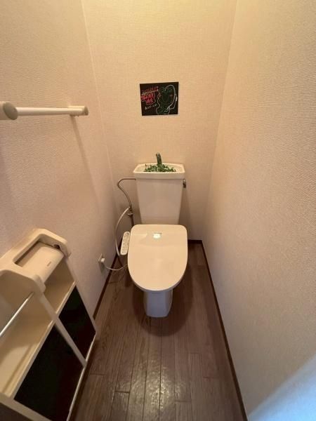 �y�g�C���z�@