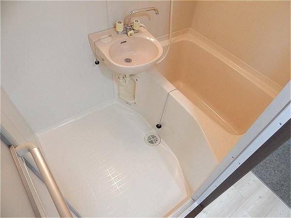 �y�o�X�z�@���d�l�ʐ^