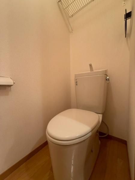 �y�g�C���z�@