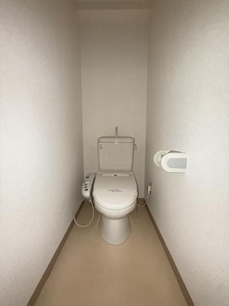 �y�g�C���z�@