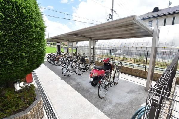 �y���̑����L�����z�@