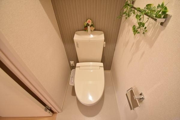 �y�g�C���z�@