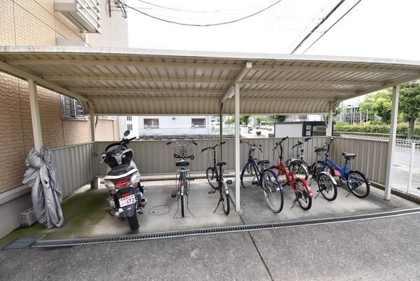 �y���̑����L�����z�@