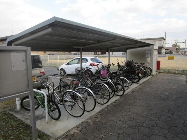 �y���̑����L�����z�@