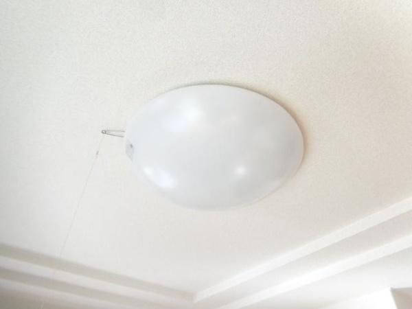 �y���̑��z�@�������ʎ�