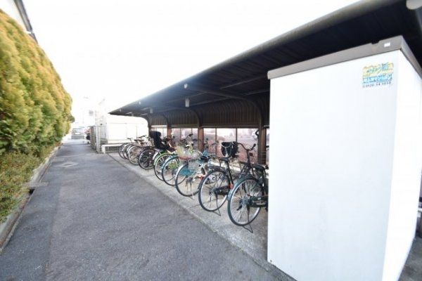 �y���̑����L�����z�@