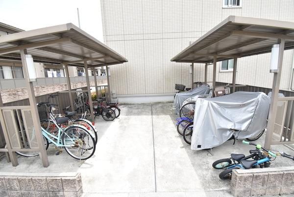 �y���̑����L�����z�@