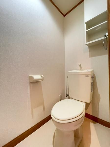 �y�g�C���z�@