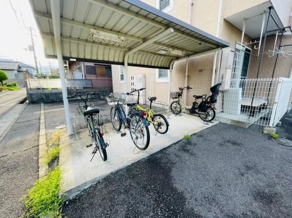 �y���̑����L�����z�@