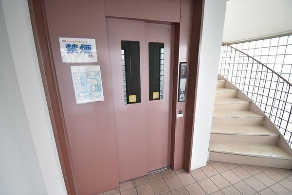 �y���̑����L�����z�@