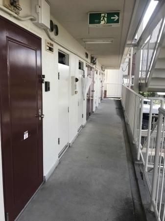 �y���̑����L�����z�@