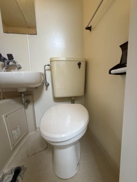 �y�g�C���z�@